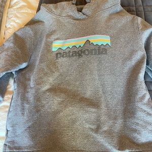 Patagonia Logo Sweatshirt size small